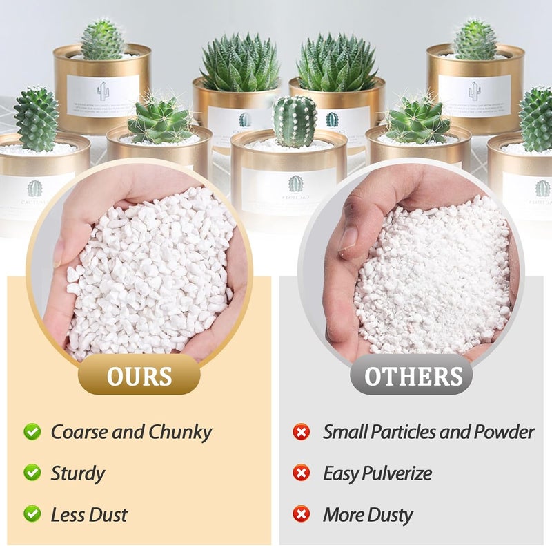 Riare 20 Quarts Organic Perlite for Plants - Horticultural Perlite Soil Amendment for Plants Potting Mix, Natural Chunky Perlite Soil Additive Conditioner Improve Root Growth, Drainage and Ventilation - Image 4